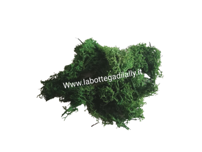 Lichene verde per presepe 50gr